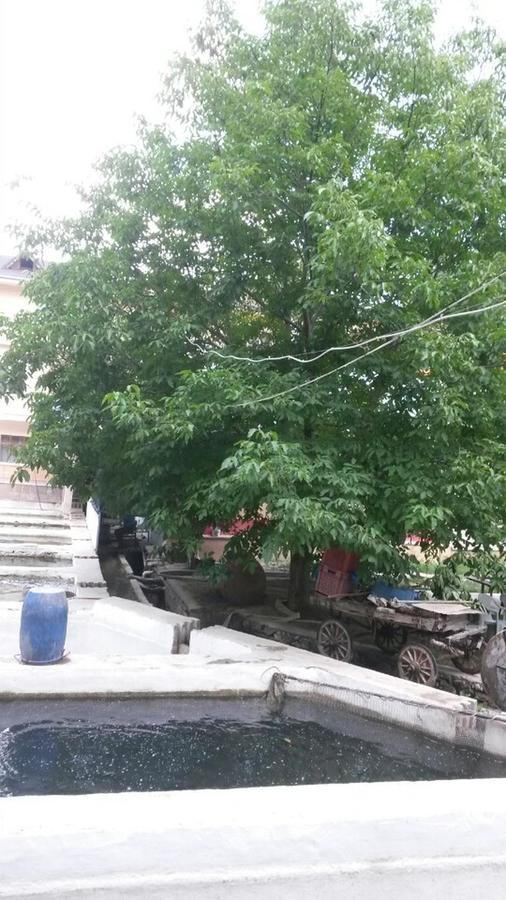 Alanlar Alabalik Ve Otel Ağlasun Exteriör bild